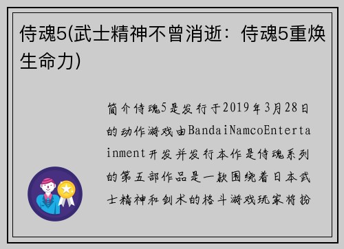 侍魂5(武士精神不曾消逝：侍魂5重焕生命力)